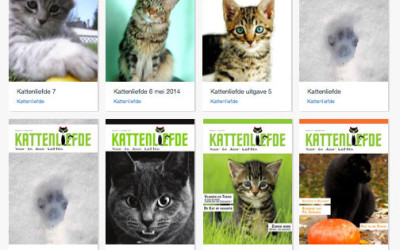 Kattenliefde 7